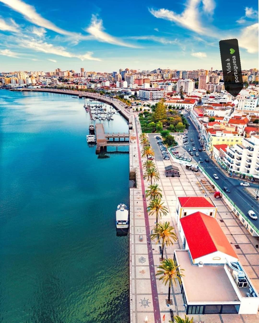 Charming Portuguese Style Apartment, For Rent "Vida A Portuguesa", "Amendoa Or Limao" Alojamento Local ปอร์ติเมา ภายนอก รูปภาพ